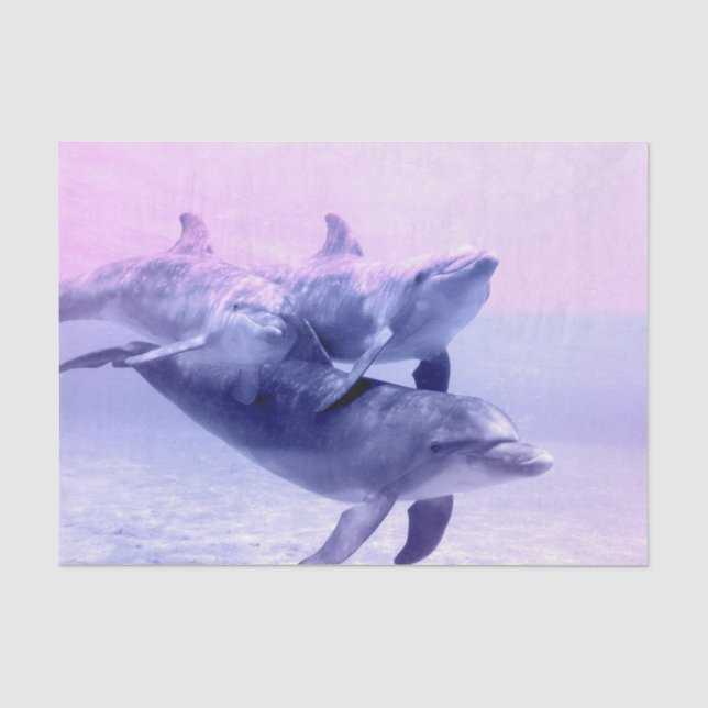 Underwater 12 tissue paper (Front)