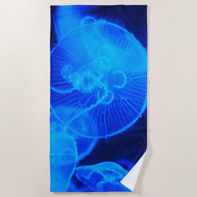 Underwater 16 Beach Towel (Front)