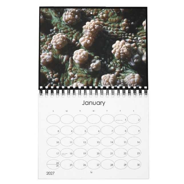 underwater 2010 calendar (Jan 2027)