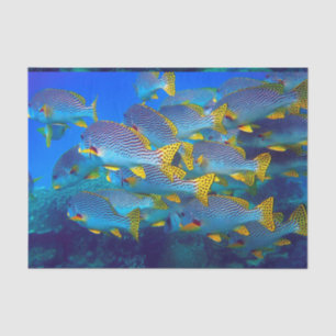 Underwater 35 tissue paper
