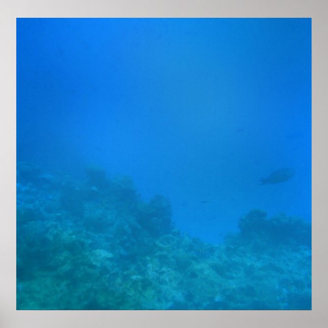 Underwater Background Scene Poster (Front)