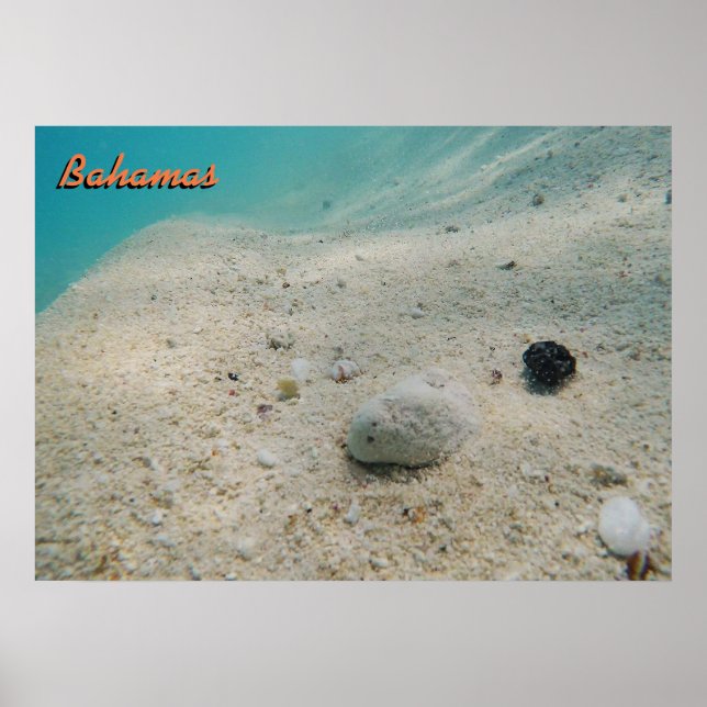 Underwater Bahamas Poster (Front)