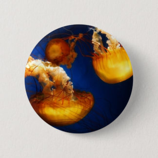 Underwater Ballet Button