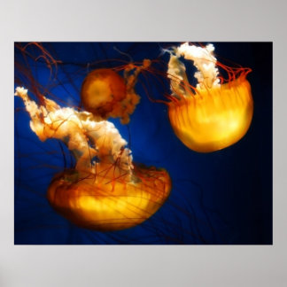 Underwater Ballet Poster
