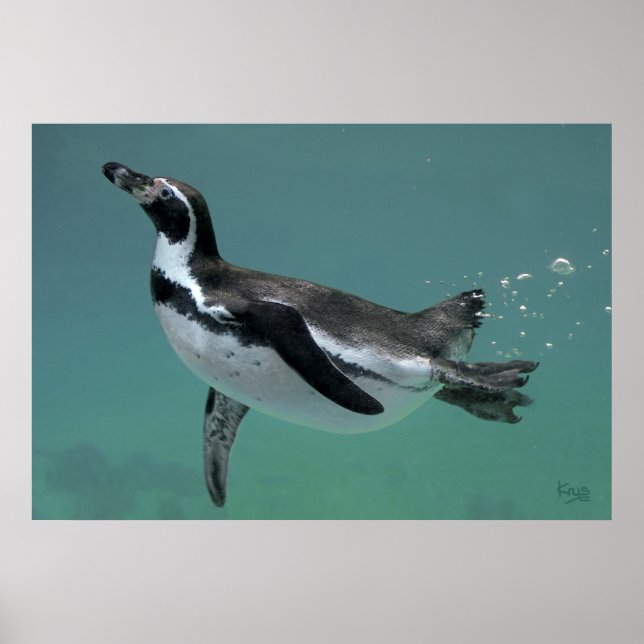Underwater Ballet Print (Front)