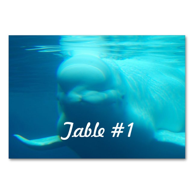 Underwater Beluga Whale Table Number (Front)