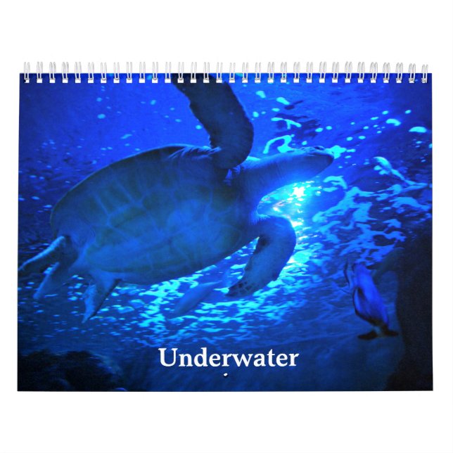 Underwater Calendar (Cover)