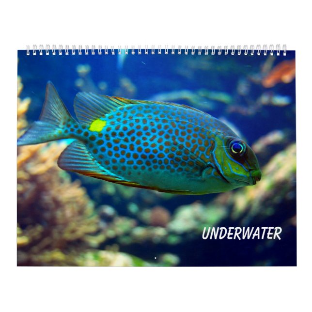 Underwater Calendar (Cover)