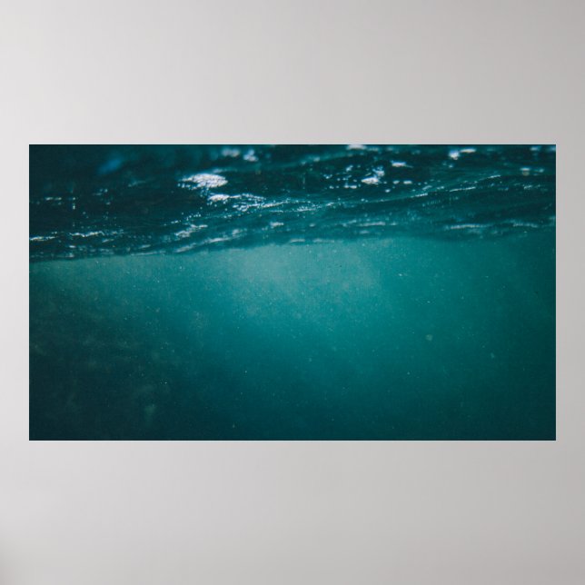 Underwater camera capture poster (Front)