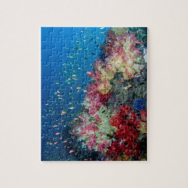 Underwater coral reef, Indonesia Jigsaw Puzzle (Vertical)