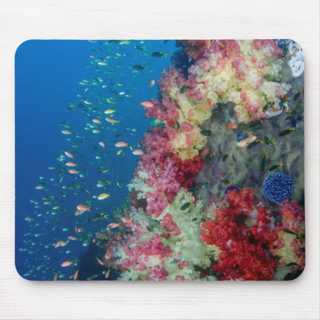 Underwater coral reef, Indonesia Mouse Pad (Front)
