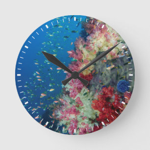 Underwater coral reef, Indonesia Round Clock
