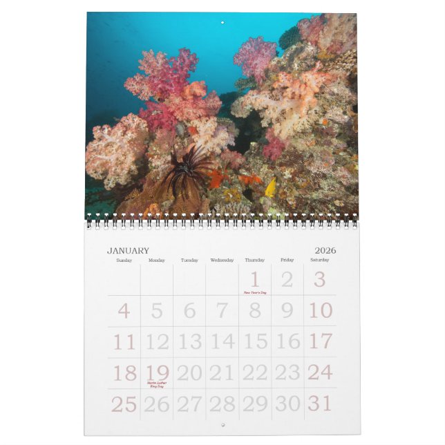 Underwater Journeys 2011 Calendar (Jan 2026)