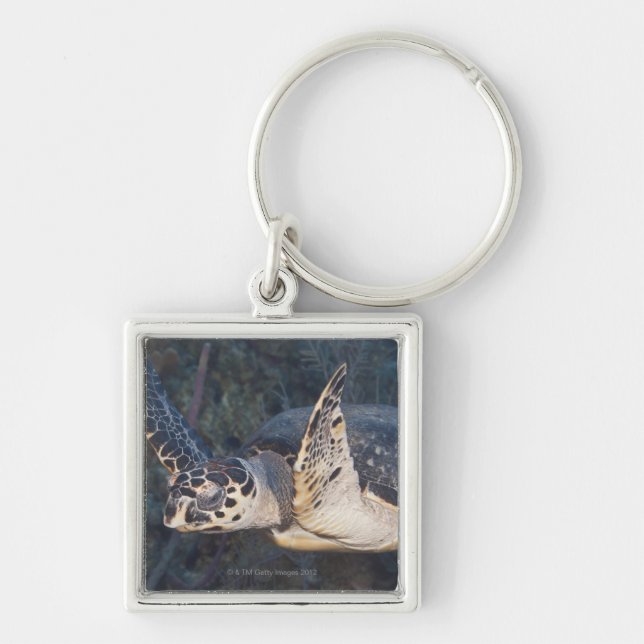 Underwater Life: A Hawksbill Sea Turtle 2 Keychain (Front)