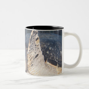 Underwater Life: A Hawksbill Sea Turtle 2 Two-Tone Coffee Mug