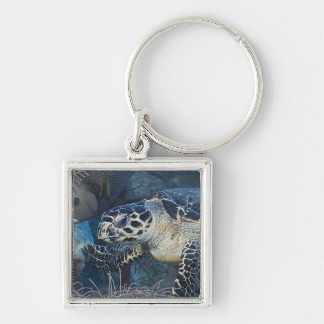 Underwater Life: A Hawksbill Sea Turtle Keychain (Front)