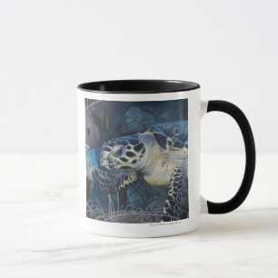 Underwater Life: A Hawksbill Sea Turtle Mug