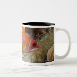 Underwater Life, FISH: a Longjaw Squirrelfish Two-Tone Coffee Mug