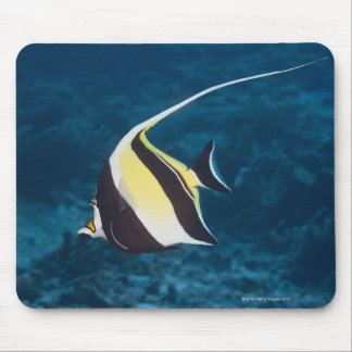 Underwater life;FISH: A Moorish Idol (Zanclus Mouse Pad
