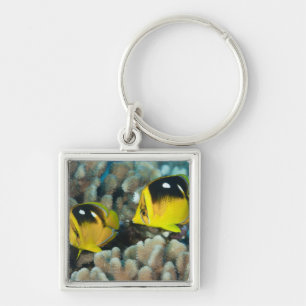 Underwater Life; FISH:  A pair of Fourspot Keychain