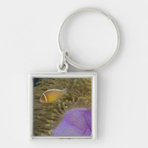 Underwater LIfe; FISH: Clownfish (Pink Keychain