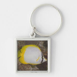Underwater Life, FISH: Colourful Spotfin Keychain