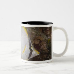 Underwater Life, FISH: Colourful Spotfin Two-Tone Coffee Mug