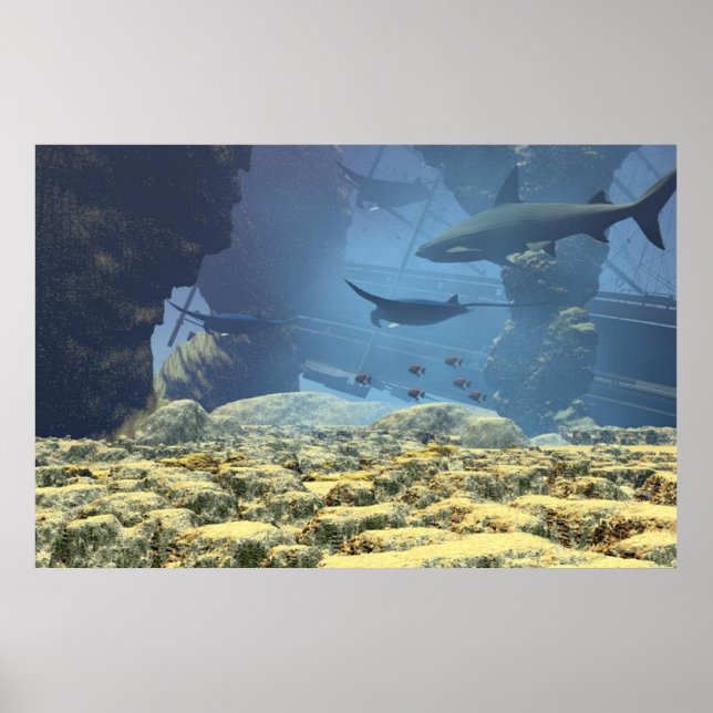 underwater life Print (Front)
