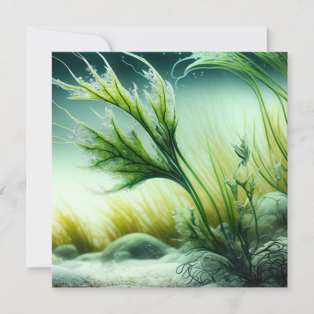 Underwater Majesty Holiday Card (Front)