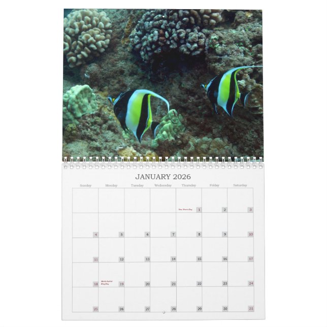 Underwater Maui Calendar (Jan 2026)