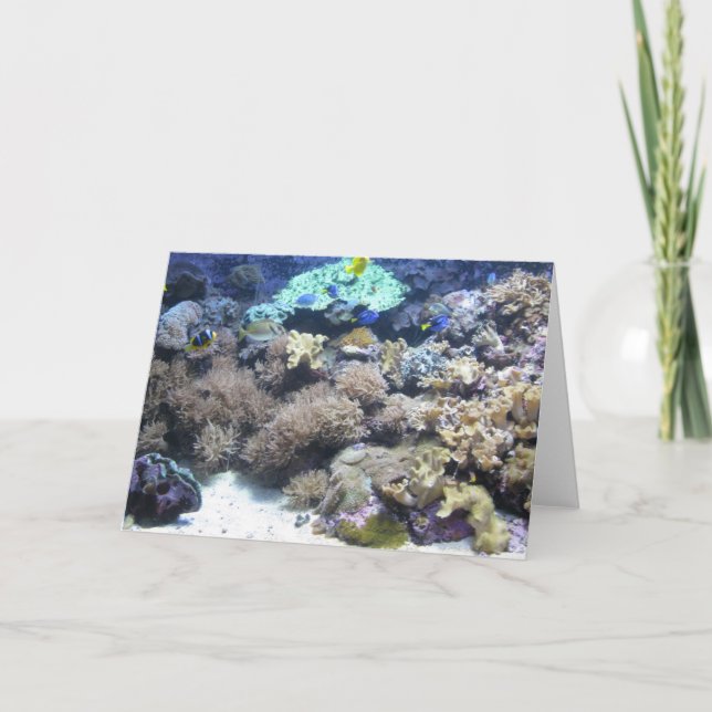Underwater photography - colourful tropical fish card (Front)