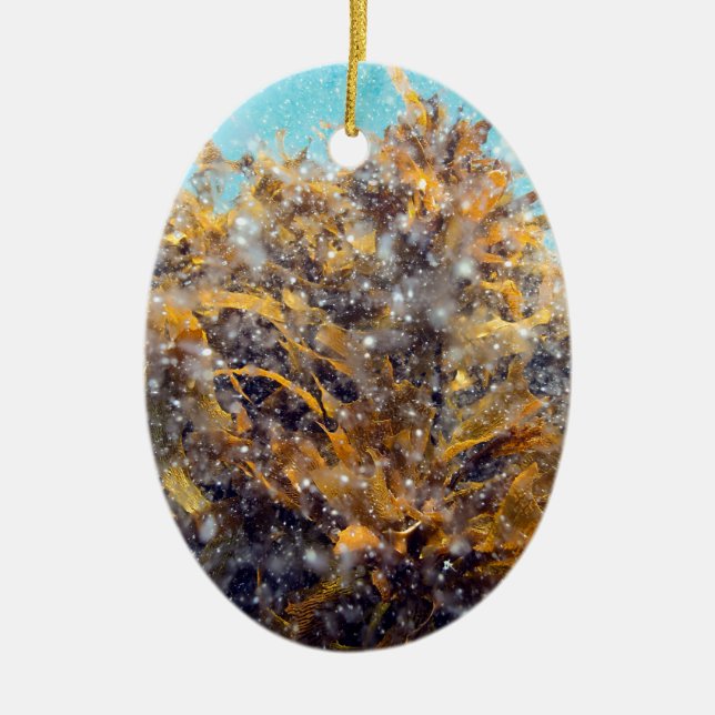 Underwater plankton soup and kelp ceramic ornament (Front)