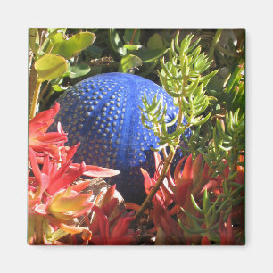 Underwater Plant Garden with Orb Magnet