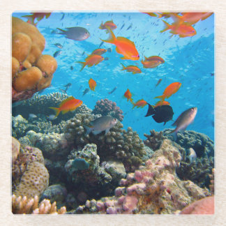 Underwater Scene Glass Coaster