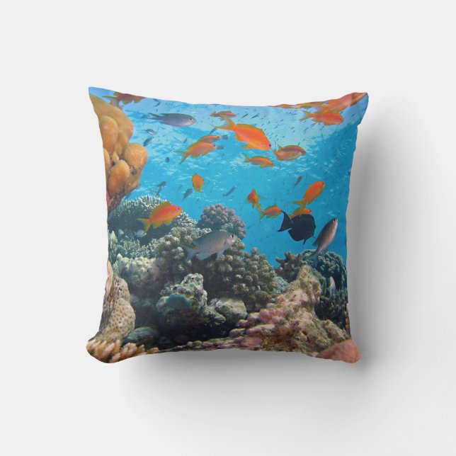 Underwater Scene Outdoor Pillow (Front)