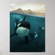Underwater scene with orca family
