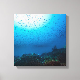 Underwater scenery on a summer day canvas print