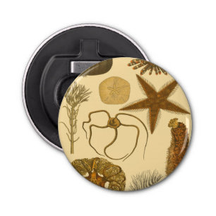 Underwater Sea Creatures Bottle Opener