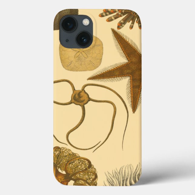 Underwater Sea Creatures Case-Mate iPhone Case (Back)
