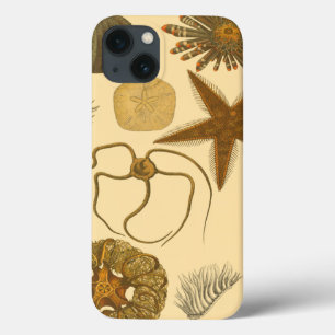 Underwater Sea Creatures iPhone 13 Case