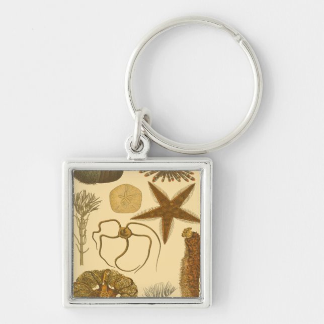 Underwater Sea Creatures Keychain (Front)