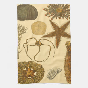 Underwater Sea Creatures Kitchen Towel
