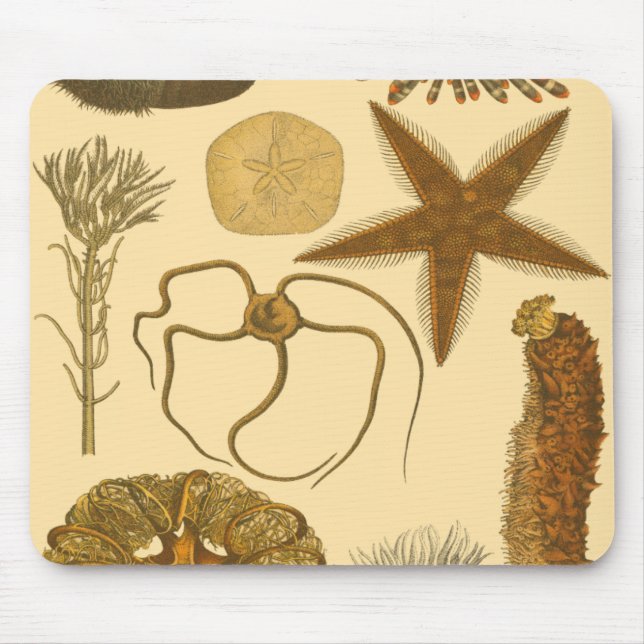 Underwater Sea Creatures Mouse Pad (Front)