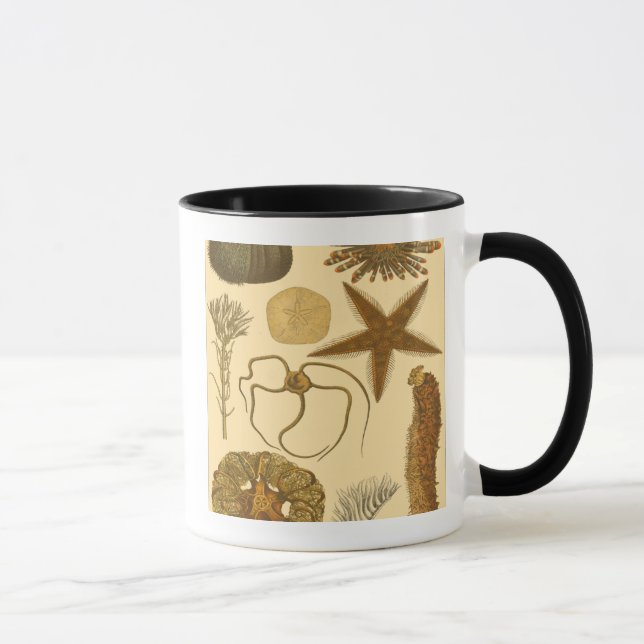 Underwater Sea Creatures Mug (Right)