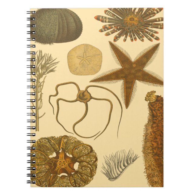 Underwater Sea Creatures Notebook (Front)