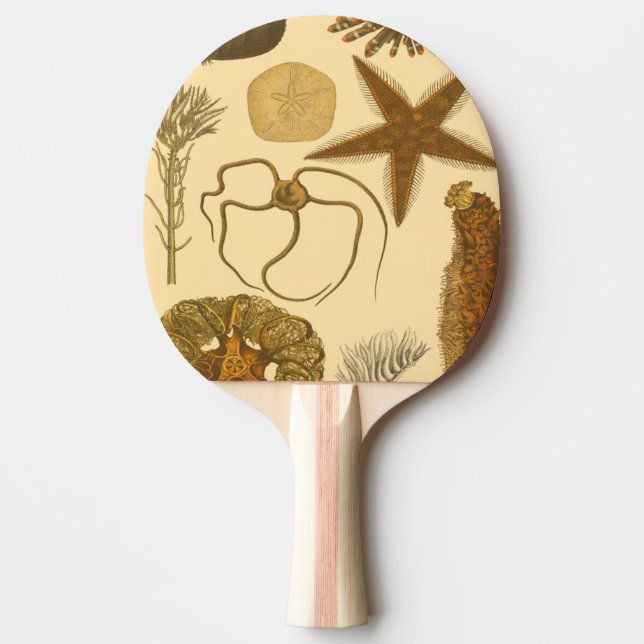 Underwater Sea Creatures Ping Pong Paddle (Front)