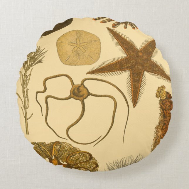 Underwater Sea Creatures Round Pillow (Front)