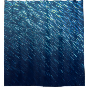 Underwater Sea Fish School Abstract