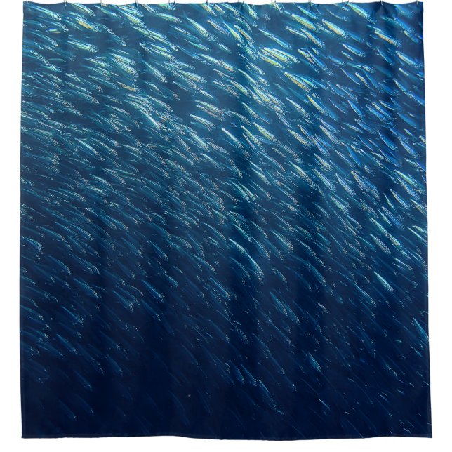 Underwater Sea Fish School Abstract (Front)