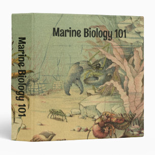 Underwater Sea Life Shrimp, Vintage Ocean Animals Binder